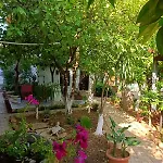 Ξενοδοχείο Hadrianus Pansion