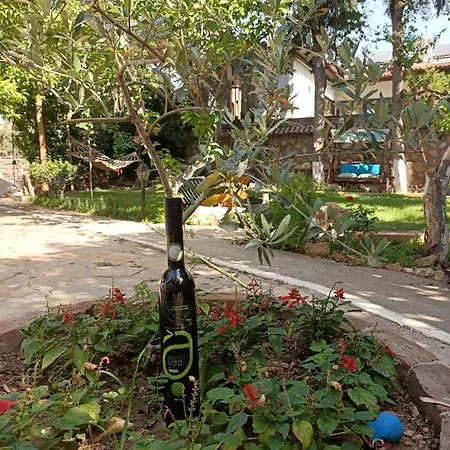 Hotel Hadrianus Pansion Antalya