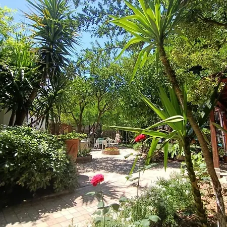 Hadrianus Pansion 3* أنطاليا