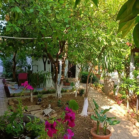 فندق Hadrianus Pansion