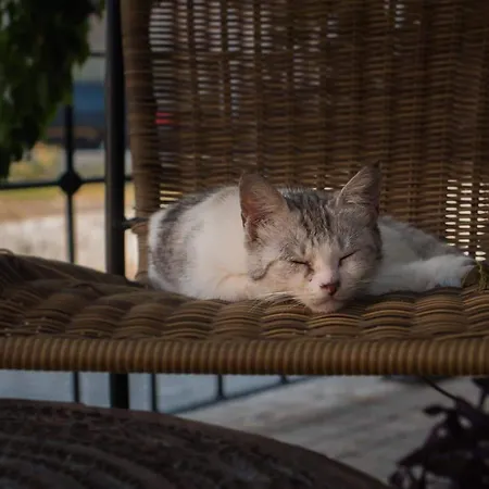 Hadrianus Pansion Αττάλεια