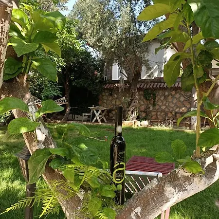 Hadrianus Pansion 3* Antalya