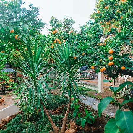 Hadrianus Pansion Hotel Antalia