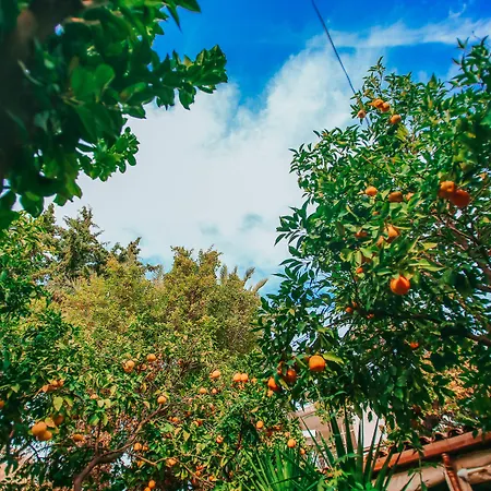 Hadrianus Pansion Hotel